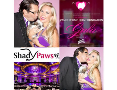 Third Annual Vanderpump Foundation Gala Evening