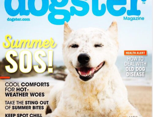 Dogster Magazine / Shady Paws,Inc.