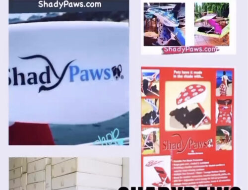 ShadyPaws,Inc. | Selling In Japan 2023